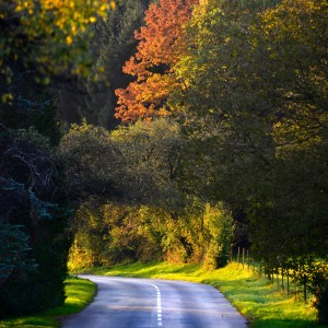 Route to